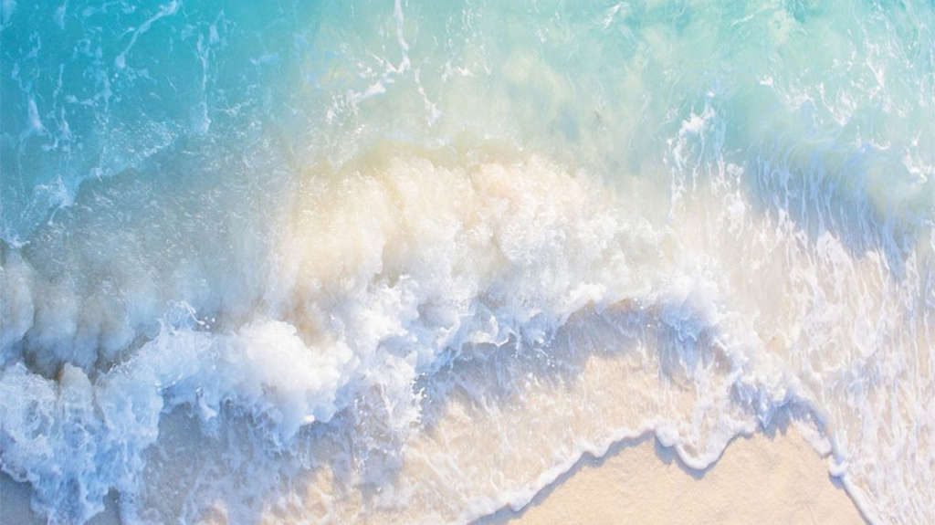 Voyage et bagages : on s'organise !