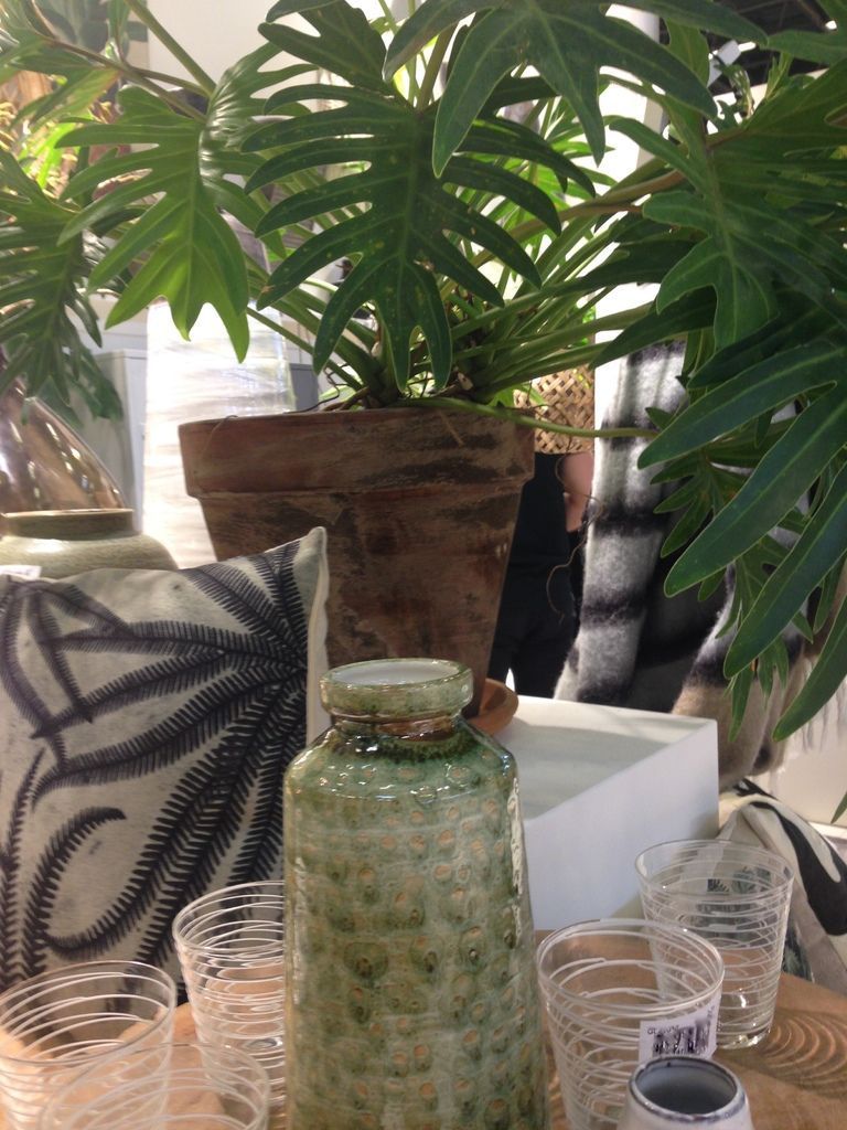 Décoration plantes vertes