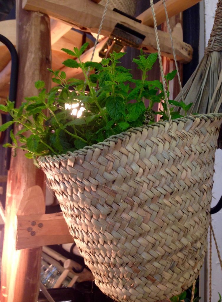 Panier suspendu avec plantes