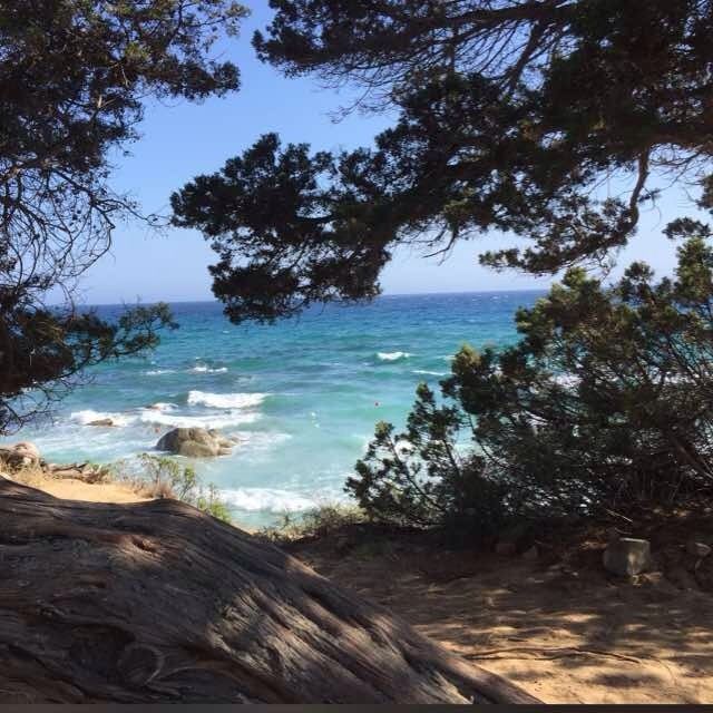 Bleu de la mer et écume