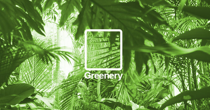 Couleur de l'année 2017 le vert Greenery
