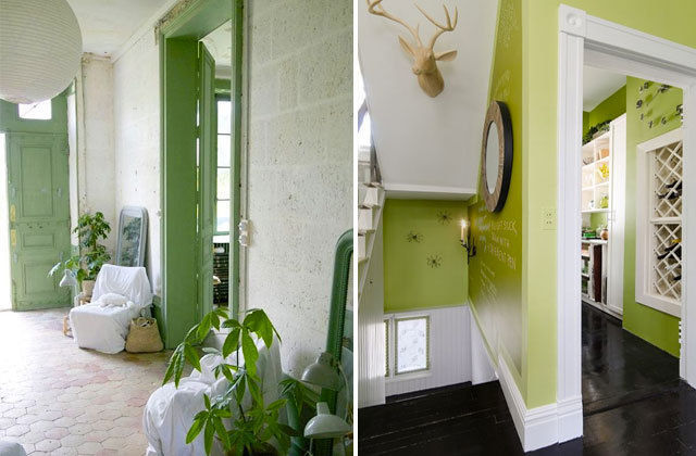 Décoration interieure vert